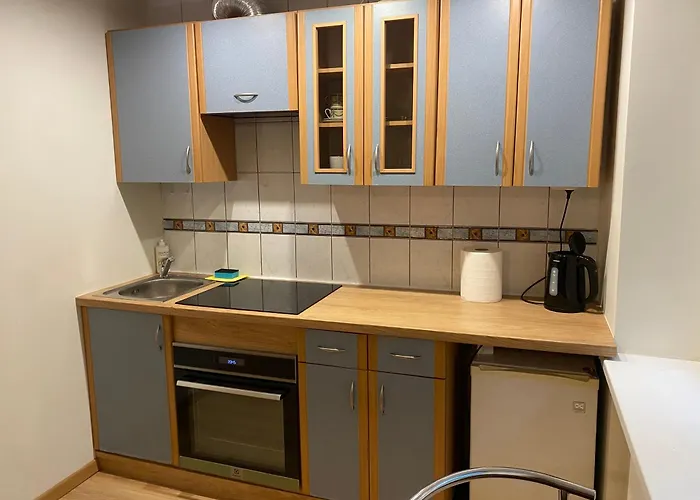 Park 1km To Old Town Apartmán Klaipėda